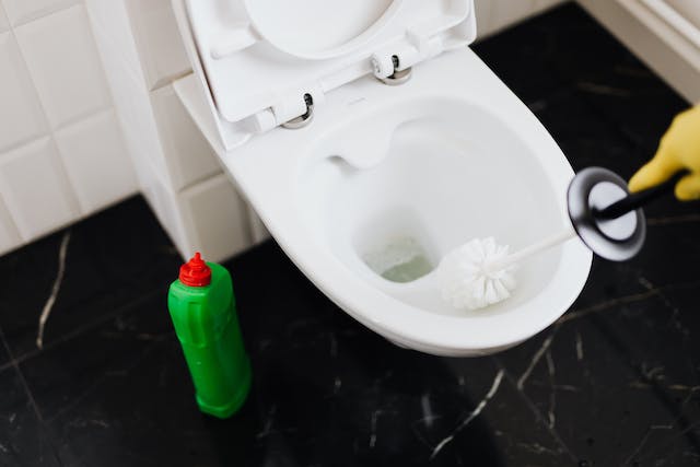 5 efficaci metodi per sturare il wc in modo rapido